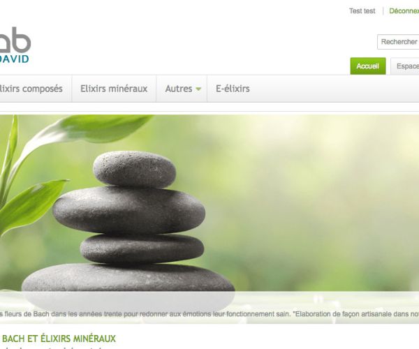 Création de site boutique Gaïalab