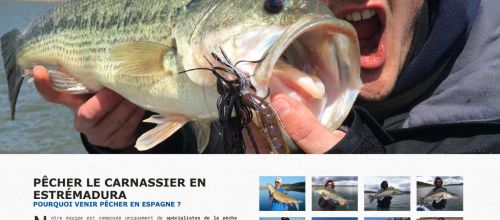 Image de la page d'accueil du site predators fishing camp