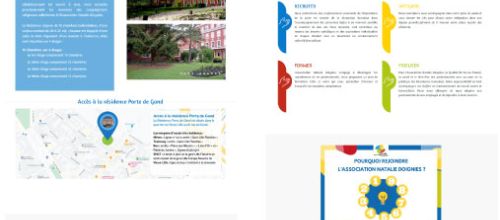 Copie d'écran site web Ehpad Lillois
