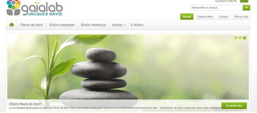 Création de site boutique Gaïalab