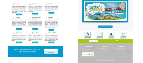 Image de la page d'accueil du site Captain Nuisibles