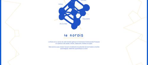 Image de la page d'accueil site le Norois