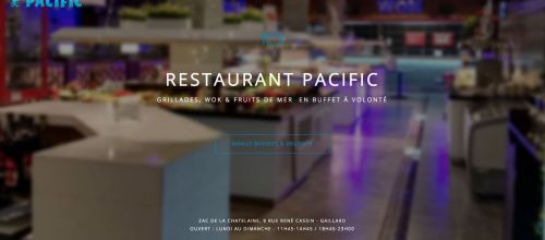 site vitrine pour restaurateur Asiatique
