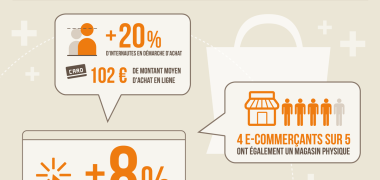 Infographie e-commerce en France