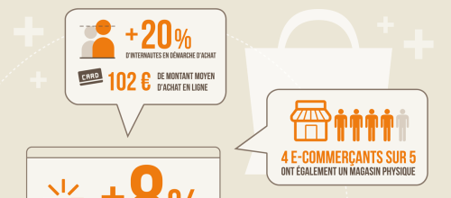 Infographie e-commerce en France
